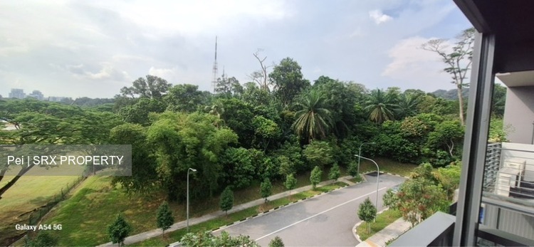 Verdale (D21), Apartment #501165791